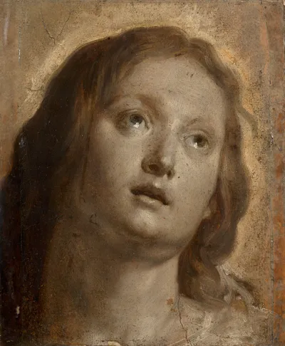Loaded image